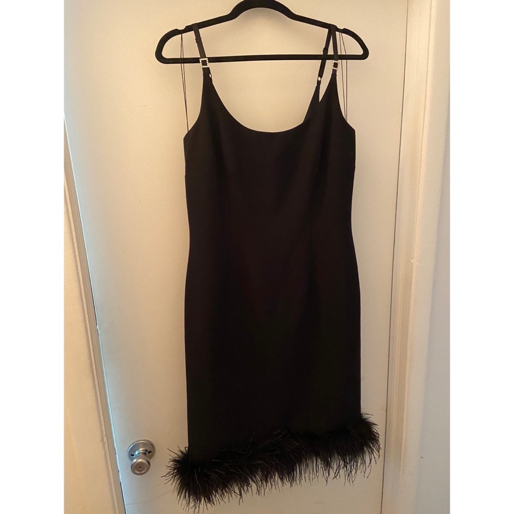 Black Dress with Feather Detail